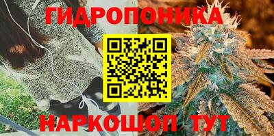 ПСИЛОЦИБИНОВЫЕ ГРИБЫ Северобайкальск