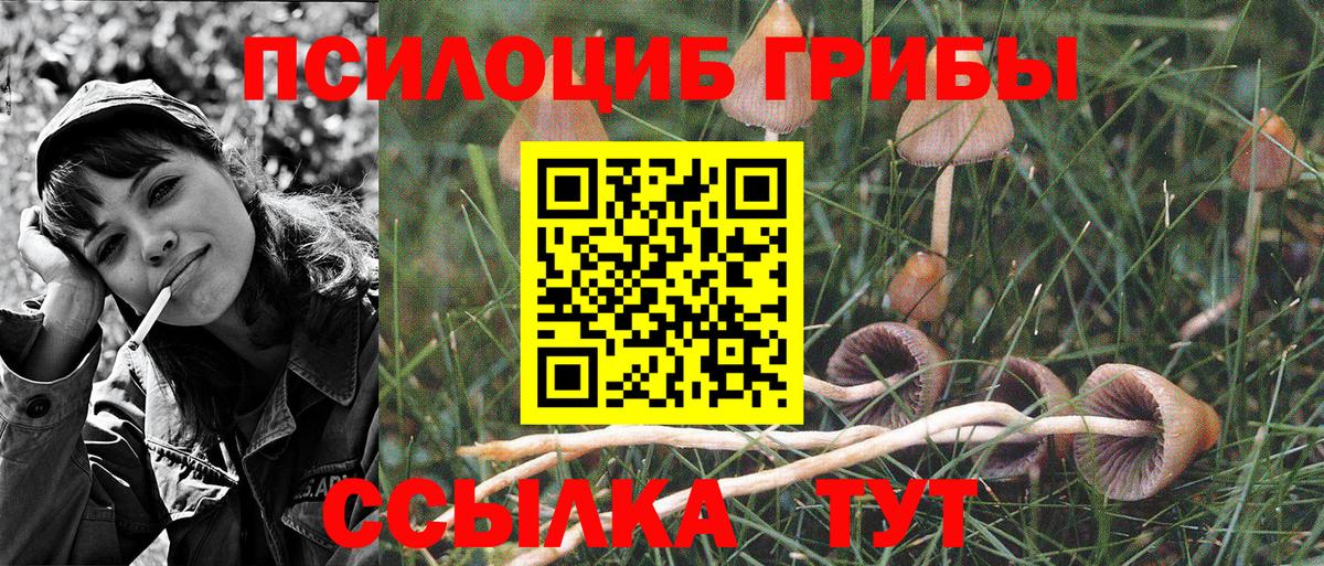 Галлюциногенные грибы мухоморы  Галлюциногенные грибы GOLDEN TEACHER  Острогожск  Вход с VPN 